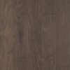 Moonshine Hickory  