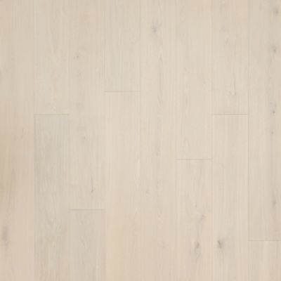 Ventura Oak Ventura Oak