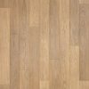 Toasted Timber Oak  