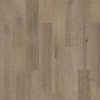 Tumbleweed Oak  