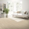 Sand Dollar Oak  