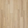 Pierre  