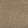 Flax Seed  