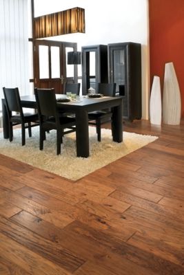 Golden Hickory Golden Hickory