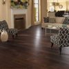 Mocha Hickory  
