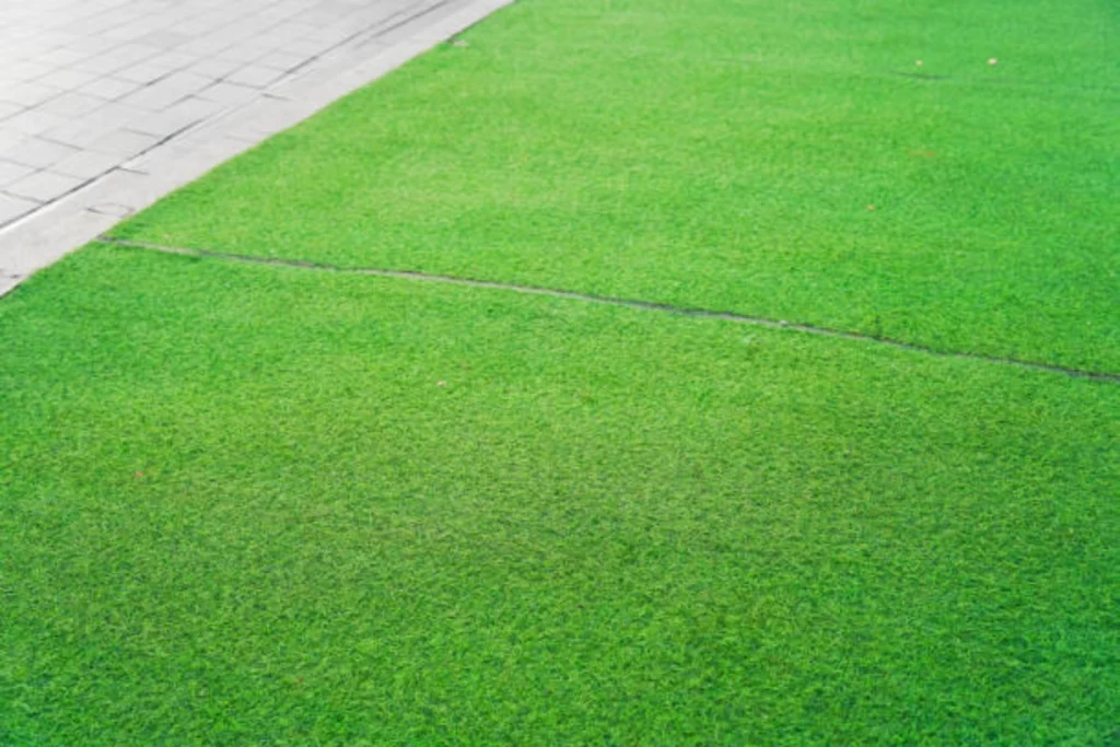 What-Is-Artificial-Grass